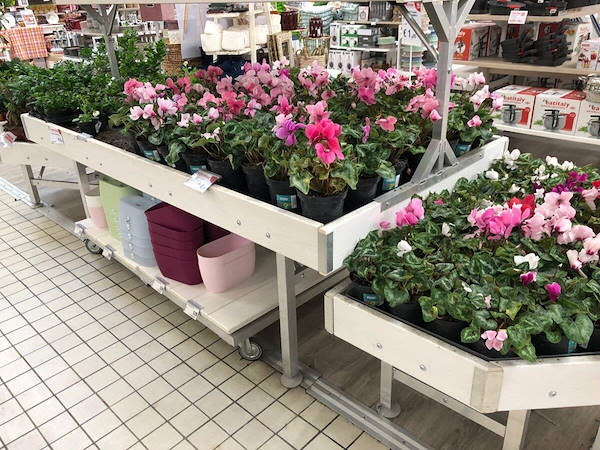 AMOR Holzlinie Farbanpassung 