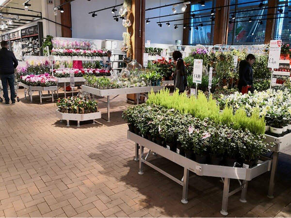 Modernisierung des Ausstellungsbereichs für Pflanzen und Blumen 