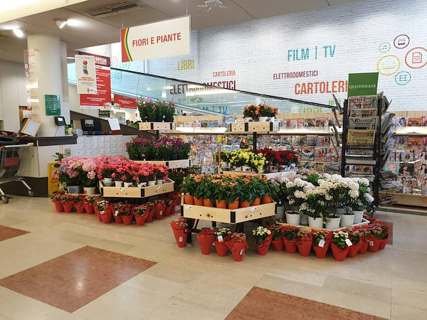 Línea AMOR para floristería-quiosco