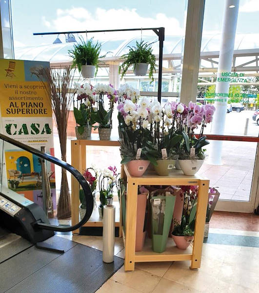 Línea AMOR para floristería-quiosco