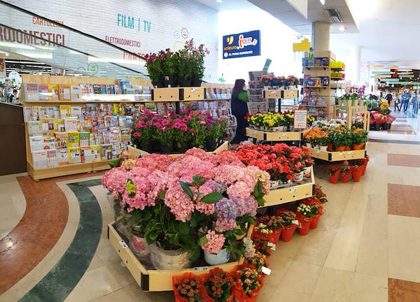 Línea AMOR para floristería-quiosco