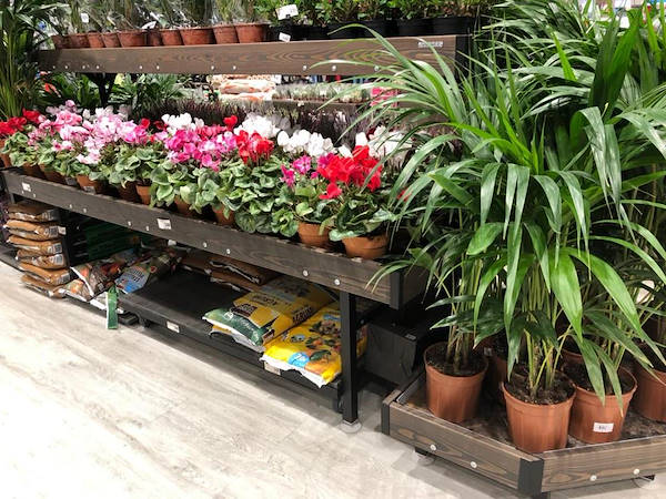 Personalización del color de la línea de madera AMOR