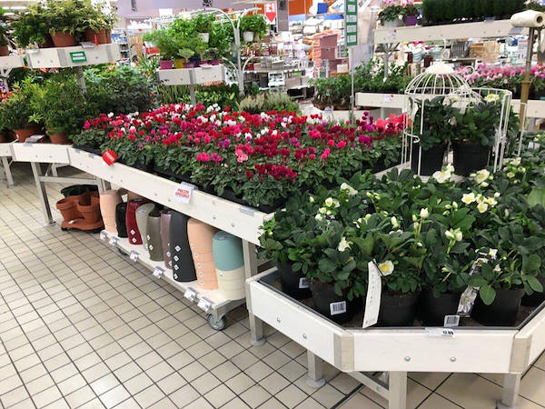 Línea de muebles en madera blanqueada