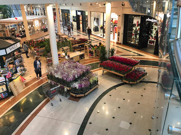 Isola espositiva nella galleria commerciale