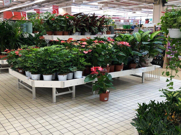 Linea arredo in legno sbiancato