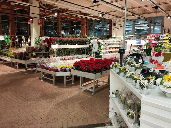 Modernisation zone d’exposition plantes et fleurs