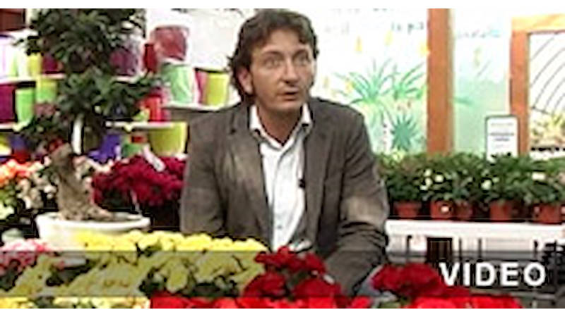 Organizzazione أورلانديلي فيديو تقديمي