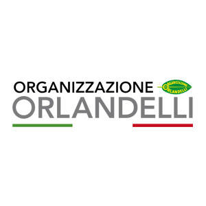 Organizzazione Orlandelli Srl