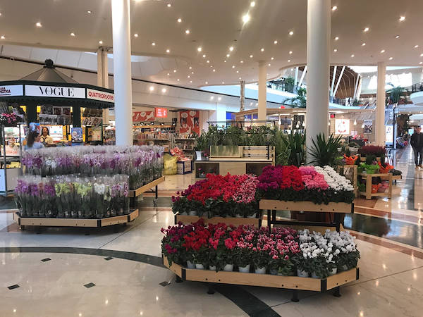 Exhibition island in the shopping center