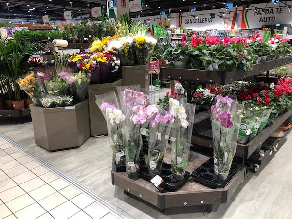         AMOR تخصيص اللون لخط الخشب 