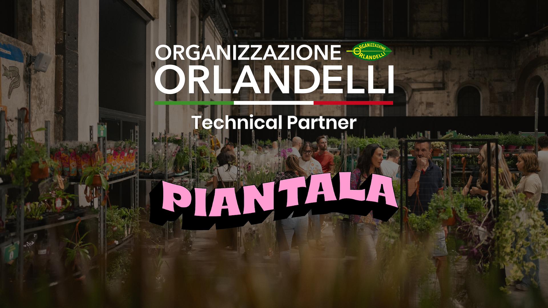 Orlandelli y Piantala: El mobiliario para vivir la jungla en la ciudad