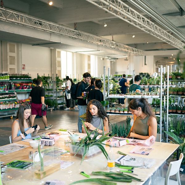 Orlandelli y Piantala: El mobiliario para vivir la jungla en la ciudad