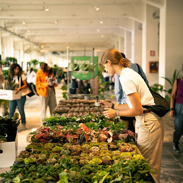 Orlandelli y Piantala: El mobiliario para vivir la jungla en la ciudad