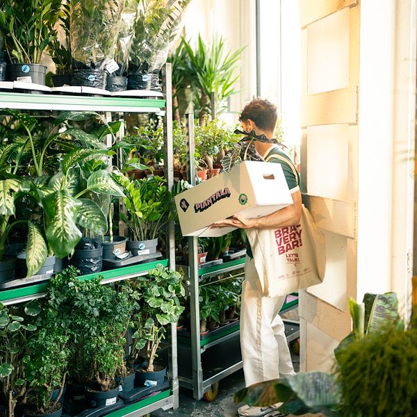 Orlandelli y Piantala: El mobiliario para vivir la jungla en la ciudad