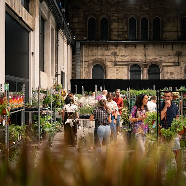 Orlandelli y Piantala: El mobiliario para vivir la jungla en la ciudad