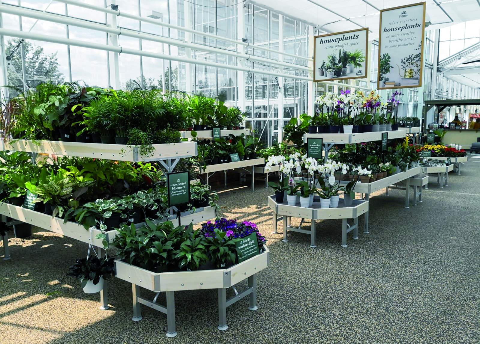 Ispirazione | Progetto | Rinnovamento