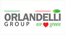 Orlandelli Group LLC
