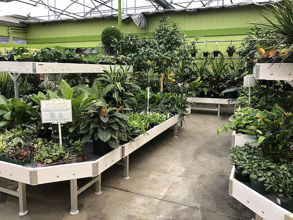 Orlandelli's Ausstellungslösungen ausgewählt für die Auffrischung des Look&Feel von Minter Country Garden