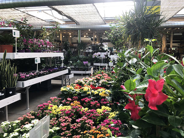 Minter Country Garden   اختيار حلول العرض في أورلانديلي لتجديد مظهر