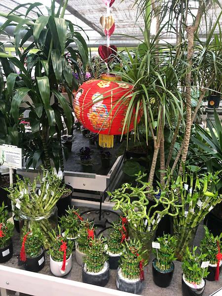 Orlandelli's exhibiting solutions chosen for freshening up Minter Country Garden's look & feel