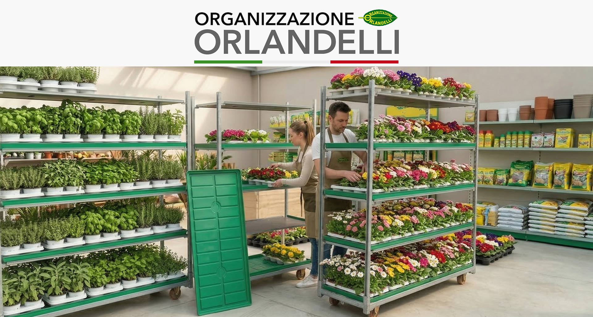 La nuova vaschetta per carrello DC