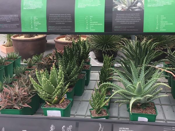 Desert City, il deserto più grande di Madrid