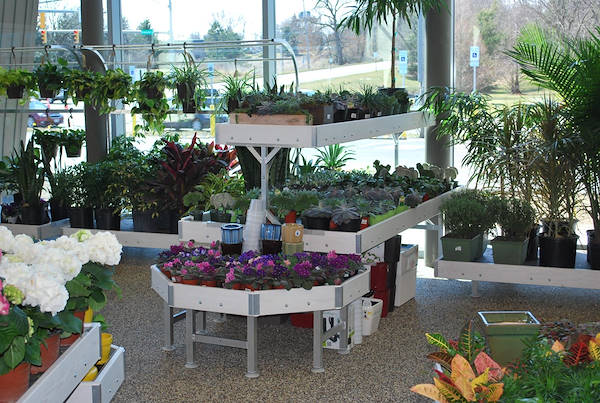 Ouverture des nouveaux Garden Center Petitti