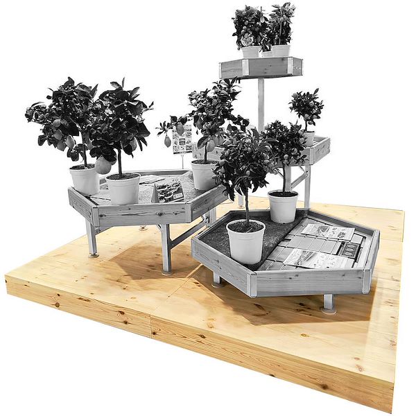 Display platform in natural wood