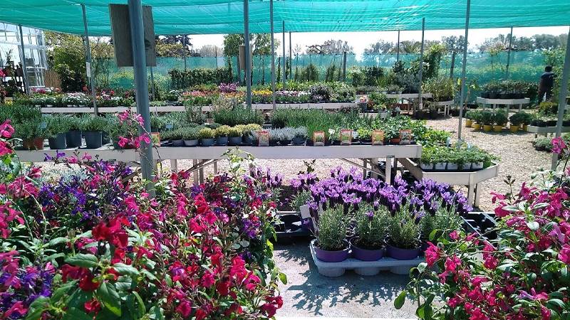 Pépinière La Roubine - Arles