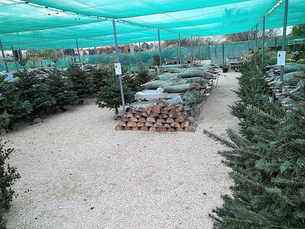 Pépinière La Roubine - Arles