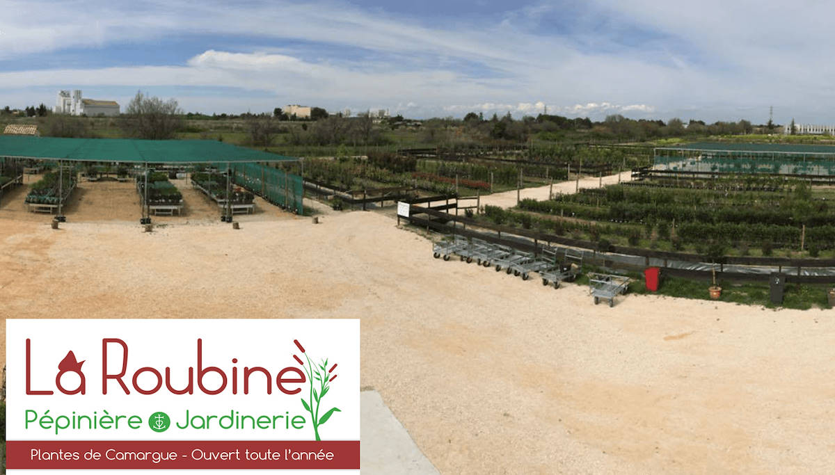 Pépinière La Roubine - Arles