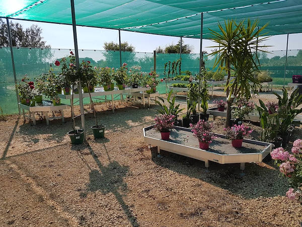 Pépinière La Roubine - Arles