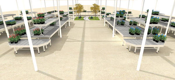 Pépinière La Roubine - Arles