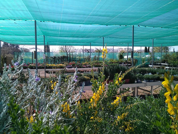 Pépinière La Roubine - Arles