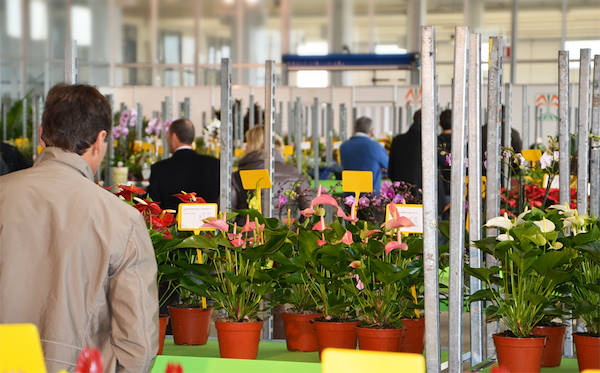 Porte aperte a FLORMERCATI