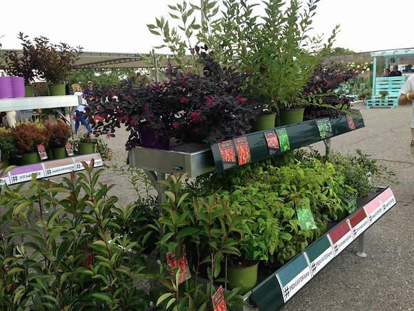 PORTE APERTE Leonessa Vivai