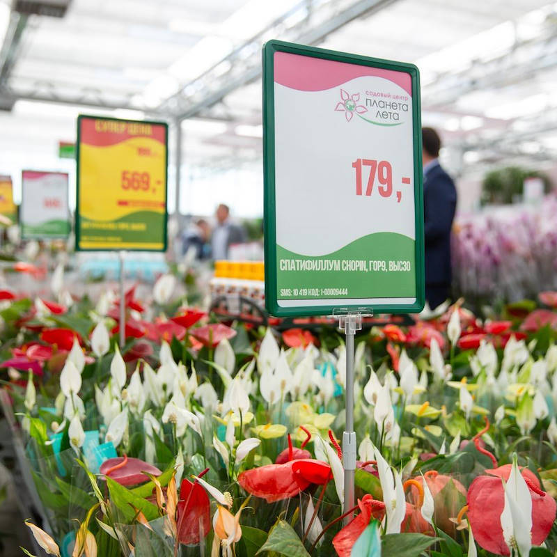 Price stand with fixed frame