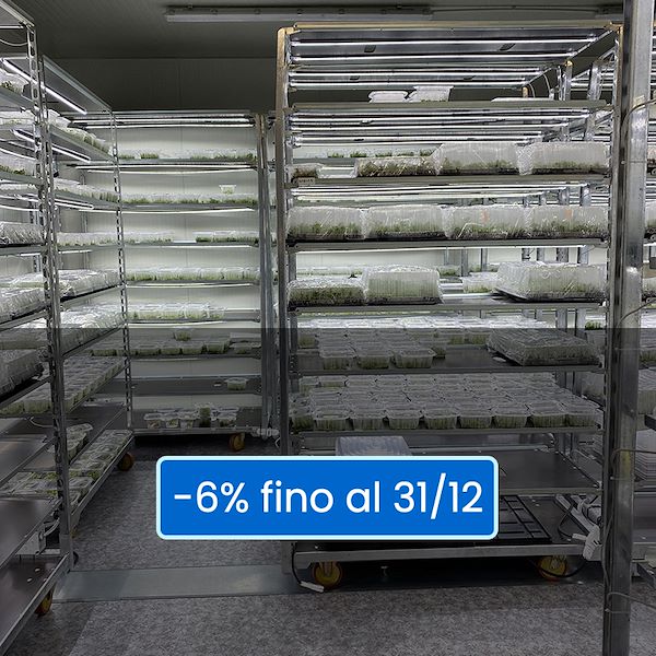 Credito d’imposta al 6% dall'1 gennaio 2022