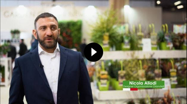 Progettazione di Layout