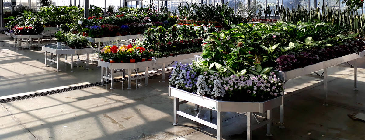 Progettazione e allestimento di un garden center