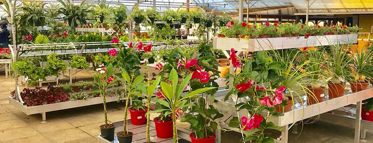 Progettazione e allestimento di un garden center