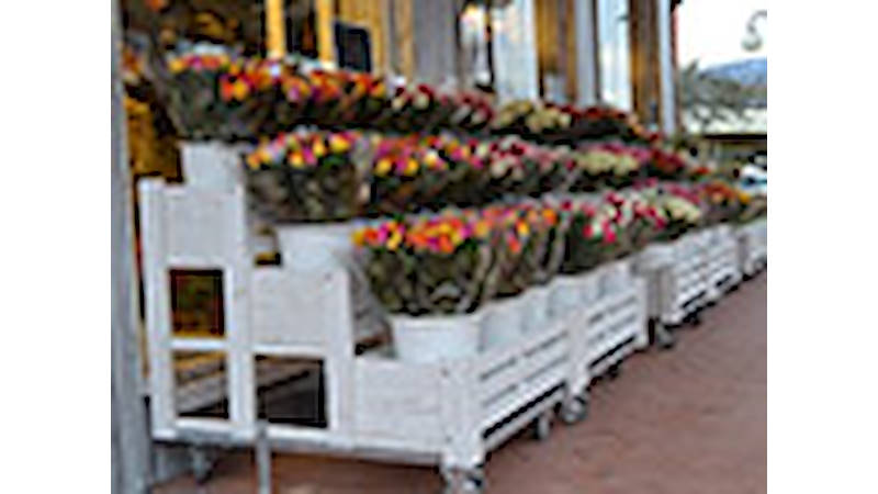 Realizzazione negozio “Fiori Fiori” – Borgo Buggiano