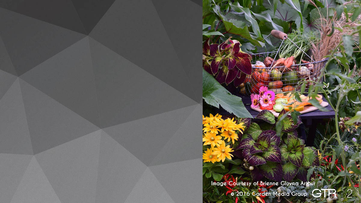 Recherche Tendance Jardins 2017