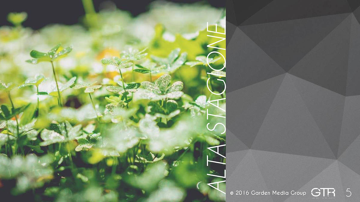 Recherche Tendance Jardins 2017