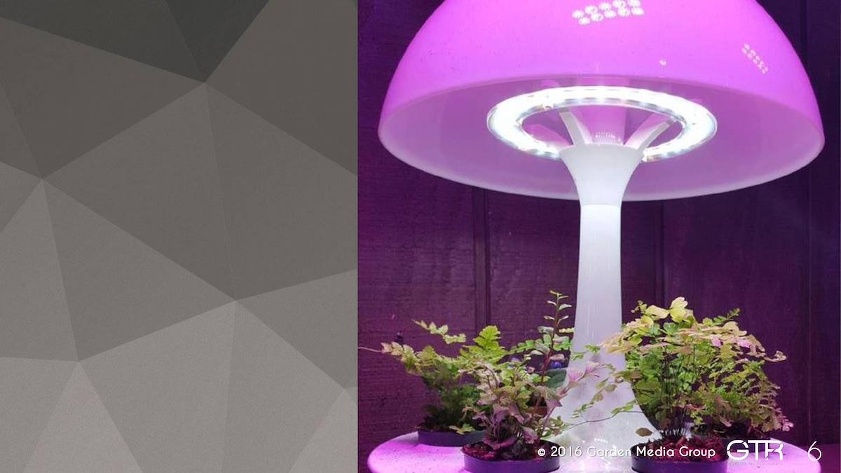 Recherche Tendance Jardins 2017