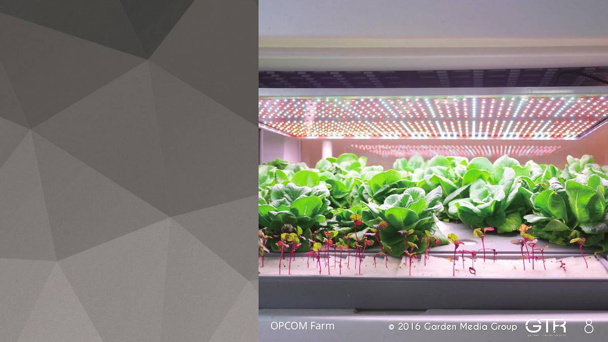 Recherche Tendance Jardins 2017