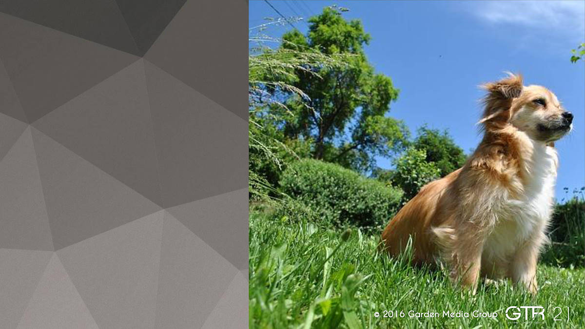 Recherche Tendance Jardins 2017