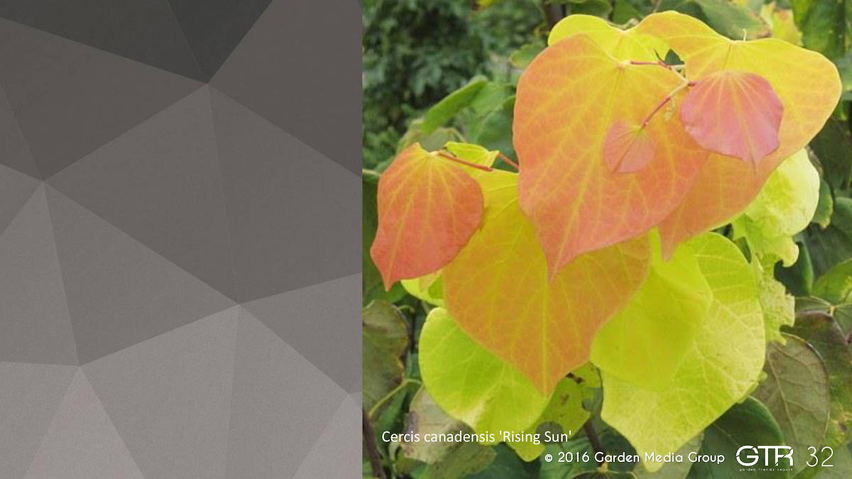 Recherche Tendance Jardins 2017