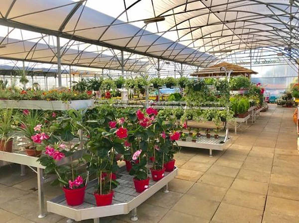 Restyling des Alfa Garden Center in Portugal