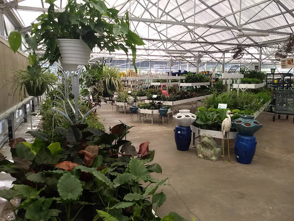 Retail Renaissance: Turner Garden renovates their Greenhouse to drive sales for 2021